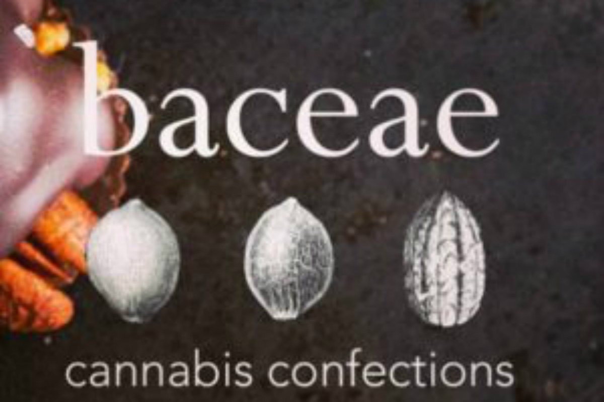 baceae Discount Codes & Promos April 2024